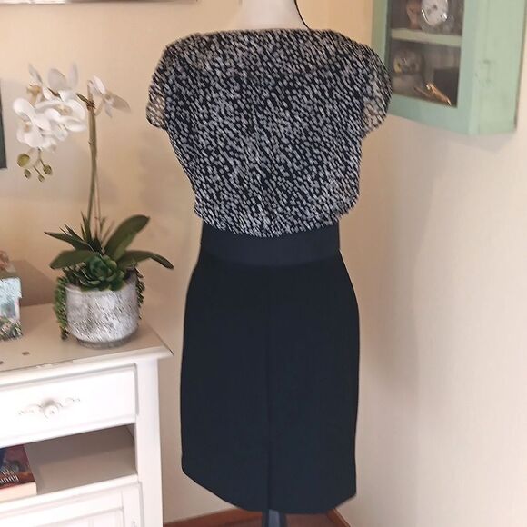 Chic New York & Company Polka Dot Dress. Career. Professional. Classic - Picture 6 of 12